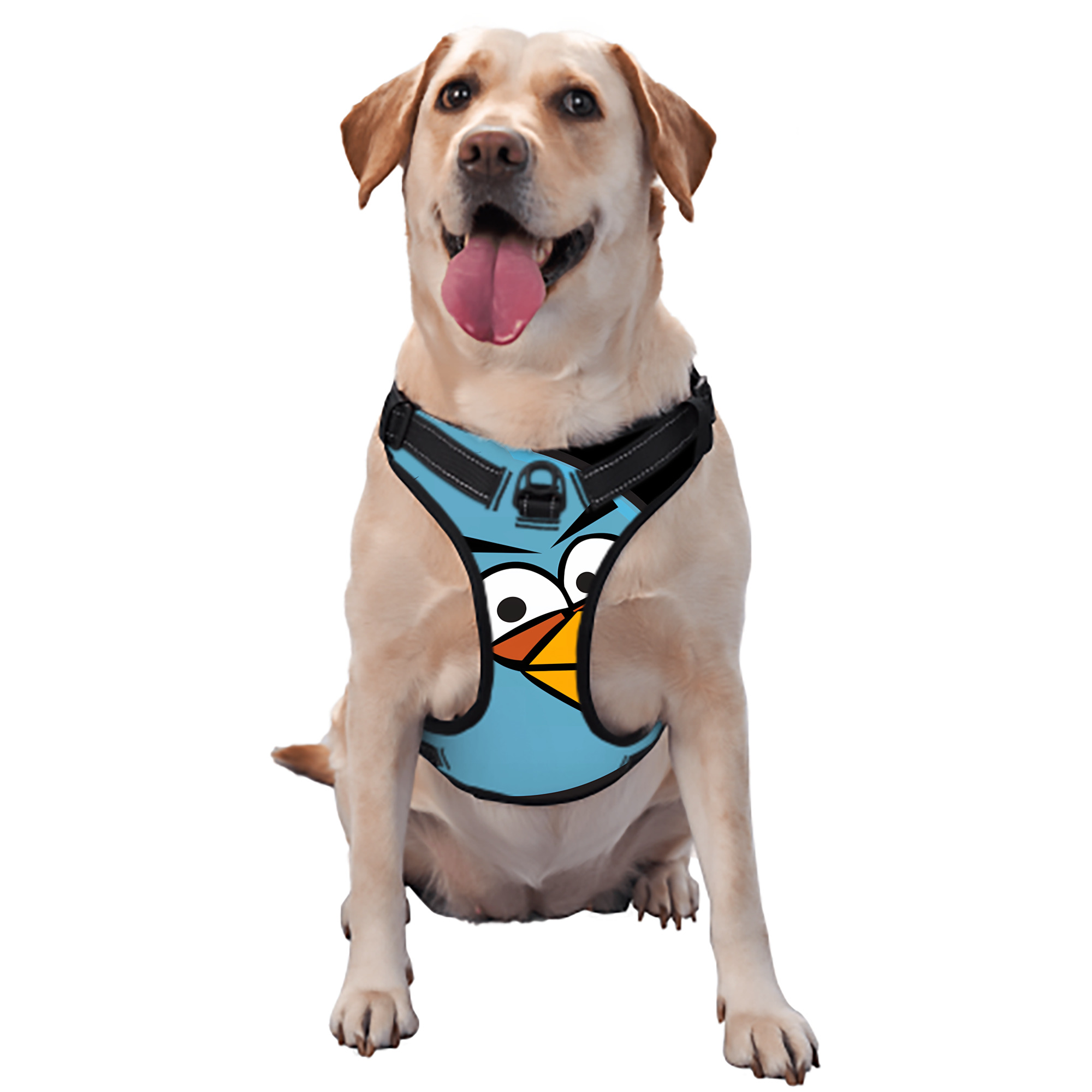 （画像用） Angry Birds アングリーバード ペット用ハーネス